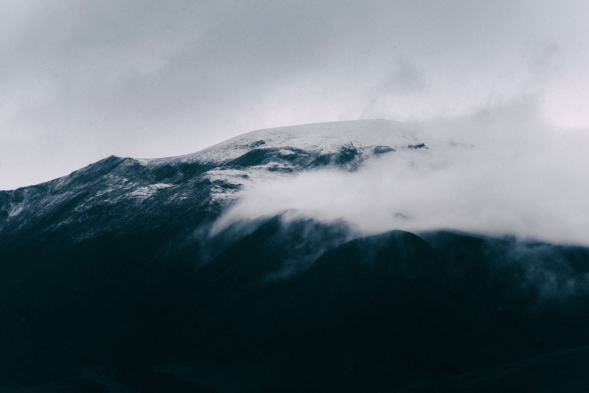 freeCodeCamp's tweet card. By Goran Aviani In this article, I will walk you through how the world wide web works at a fundamental level. The core technology is HTTP - Hypertext Transfer Protocol. It's the communication...