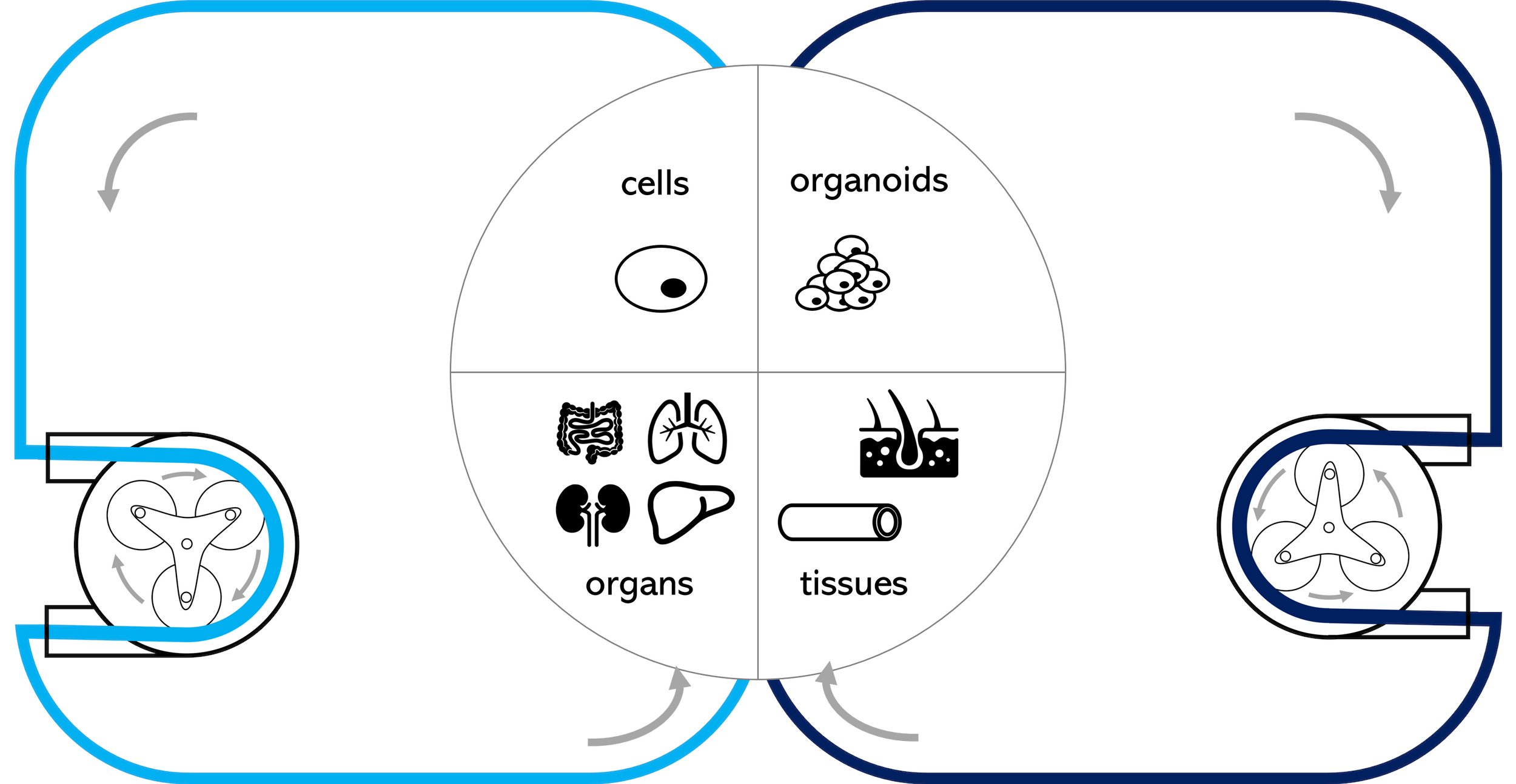 Labo_Fun's tweet card. 臓器・オルガノイド・細胞の灌流培養をあなたの手に。「Plug and Play」をコンセプトとした灌流培養実験系の構築を東海ヒットが提案します。