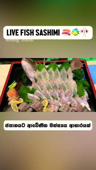 ChessBloggerOrg's tweet card. ජපානයේ අමුතුම මත්ස්‍යය ආහාරයක් 🍣🐠