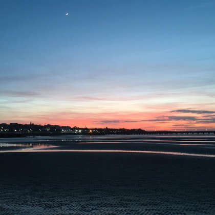 Tweet card summary image