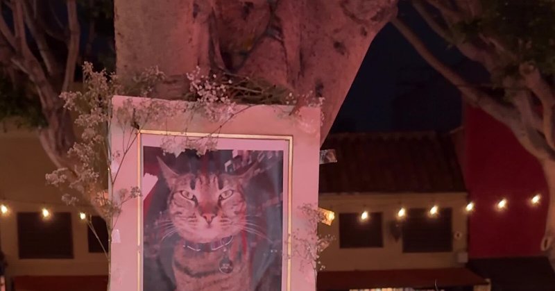 Tweet card summary image