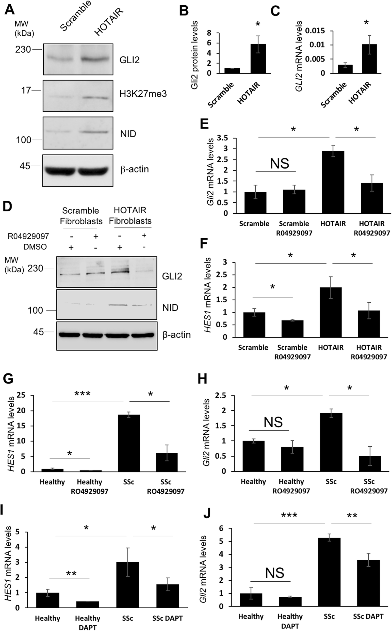SclerodermaLab's tweet card. Arthritis Research & Therapy - Systemic sclerosis (SSc) is characterised by tissue fibrosis of the major organs of the body including the skin, lungs and heart. We have previously reported that...