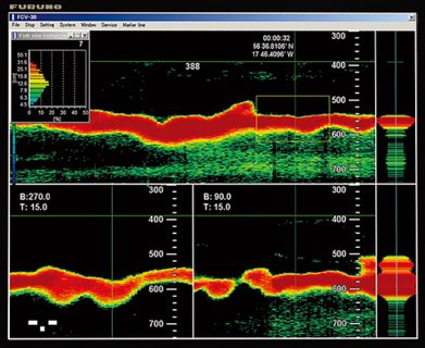 Image for twitter card