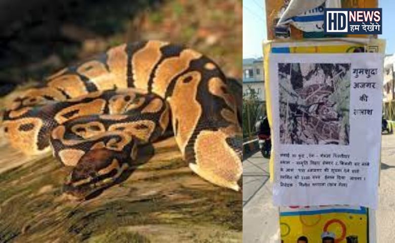 humdekhengenews's tweet card. મેરઠના જાગૃતિ વિહારમાં અજગર દેખાયા બાદ સ્થાનિક લોકોમાં ડરનો માહોલ છે. વન વિભાગ પર સમયસર કાર્યવાહી નહીં કરવાનો આરોપ લગાવતા આ વિસ્તારના
