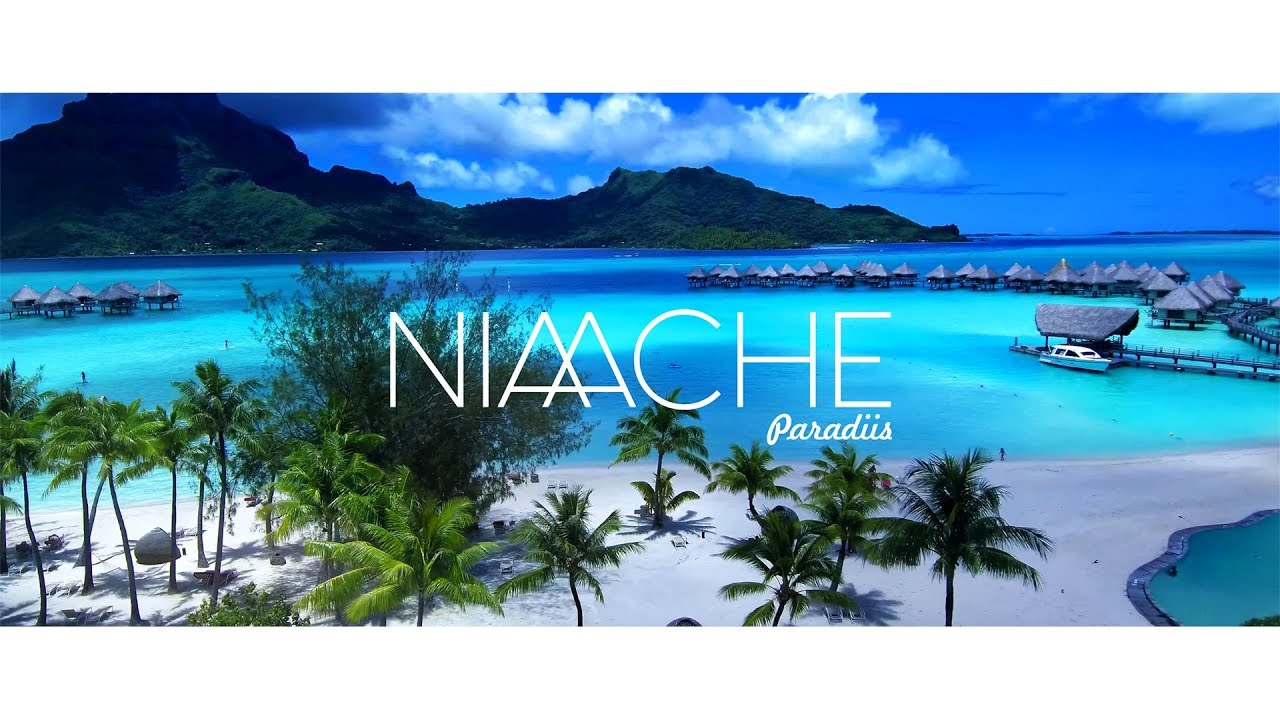 timecodestudio's tweet card. NIAACHE - Paradiis (Suvereliis 2019)