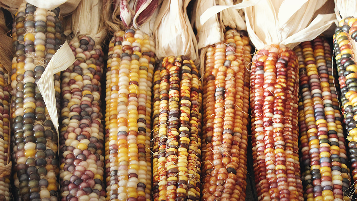 thenewstack's tweet card. Static analysis tools can help find security gaps in source code, such as in the Linux kernel, but such tools are notorious for generating false positive results. Here's a look at some of the tools...