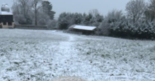 Tweet card summary image