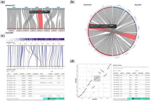 jsantoyo's tweet card. AbstractMotivation. Synteny analysis is a widely used framework in comparative genomics studies, which provides valuable information to reveal chromosome c