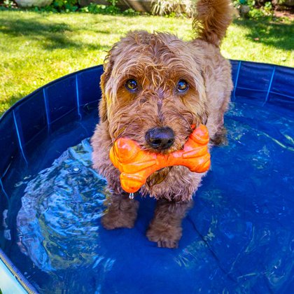 Tweet card summary image