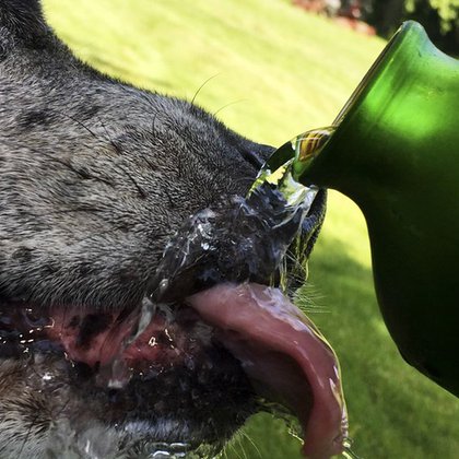 Tweet card summary image