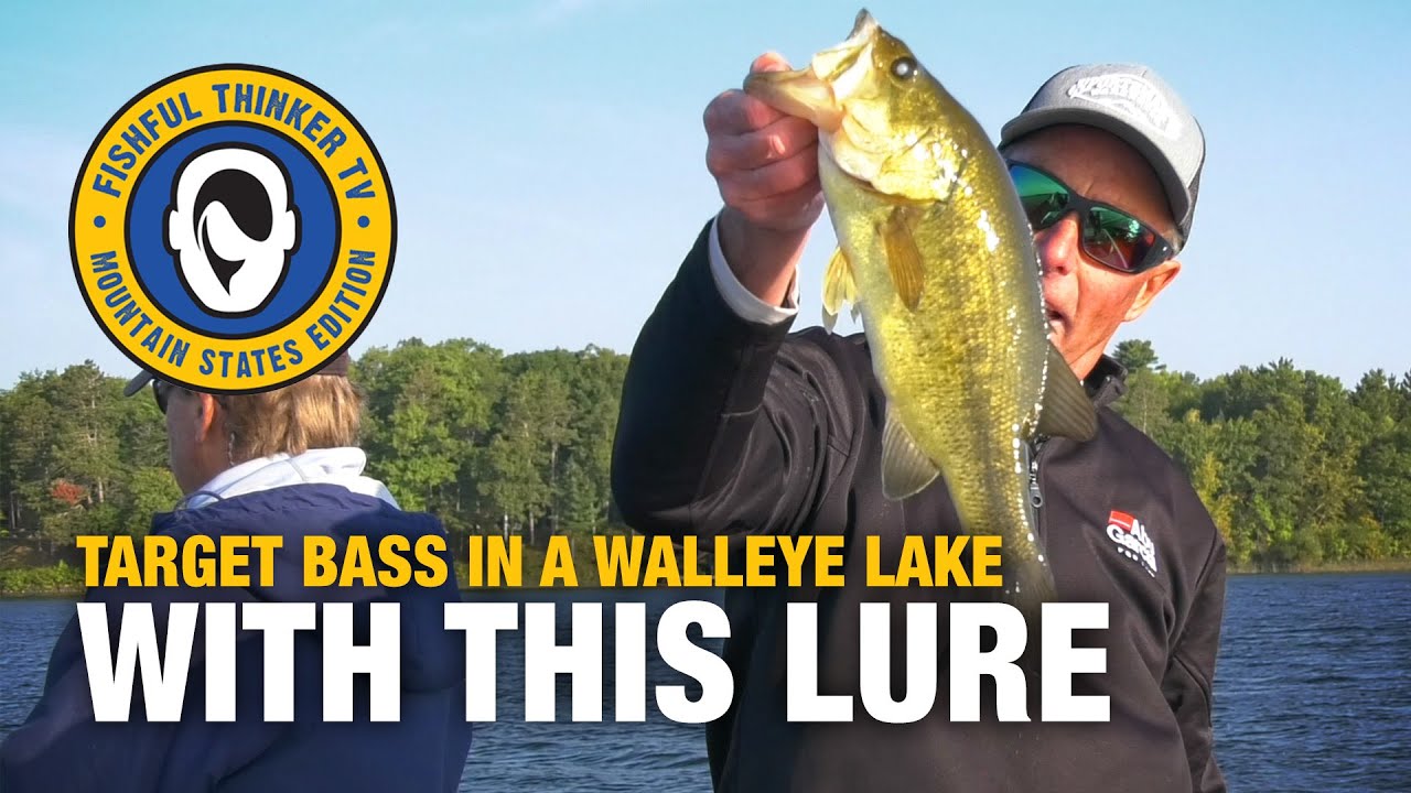 FishfulThinker's tweet card. Bonus Bass Bounty, part 3... (bass fishing)