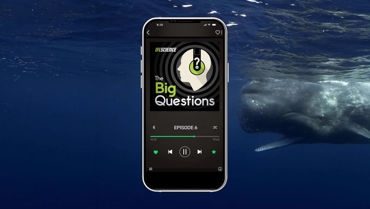 How Close Are We To Talking To Animals? | IFLScience The Big Questions