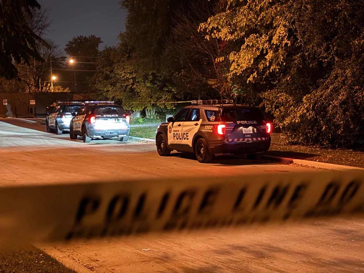 CityNews Toronto on X: 