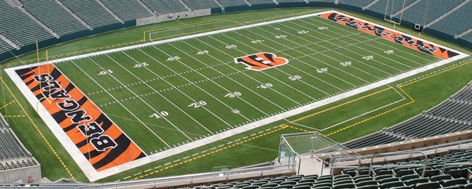 Cincinnati Bengals banner