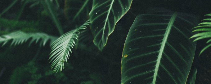 photo besties 📷 banner