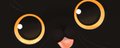 Gatitos 🐱 banner