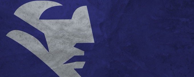 Patriots Twitter banner