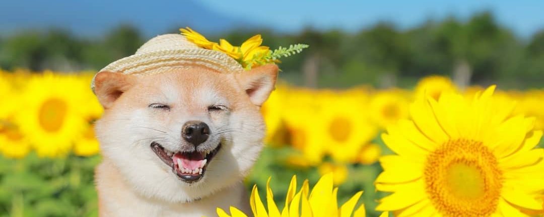 community banner image
