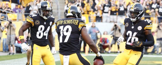 Pittsburgh Steelers banner