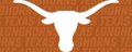 Longhorns Twitter banner