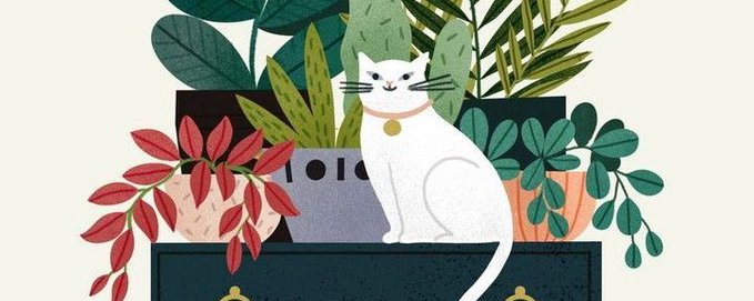 Plant Lovers 🪴 banner