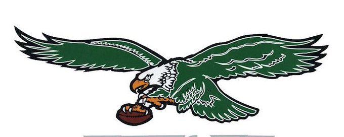 Fly Eagles Fly banner