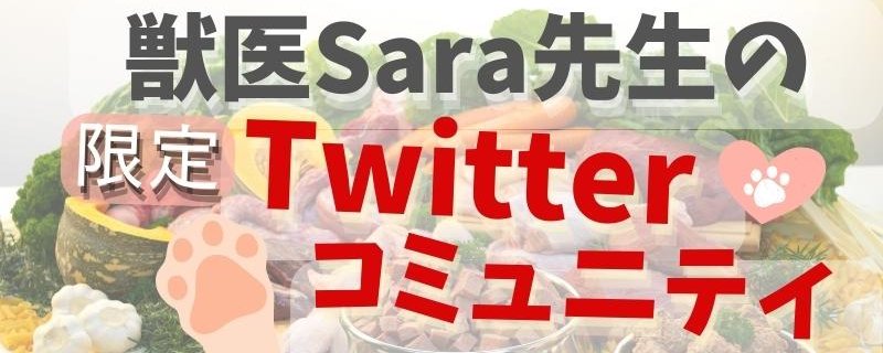 サラちゃんページです。お申し込みされて無い方のお買い上げは、ご遠慮願います 訃報 5/24明け方に体調が急変し、サラちゃんが旅立ちました