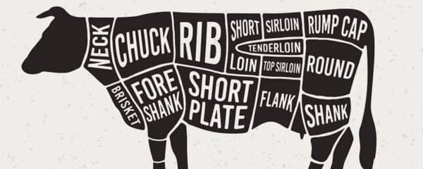 Carnivore Diet banner