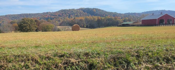 Homesteaders HQ banner