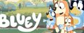 Bluey banner
