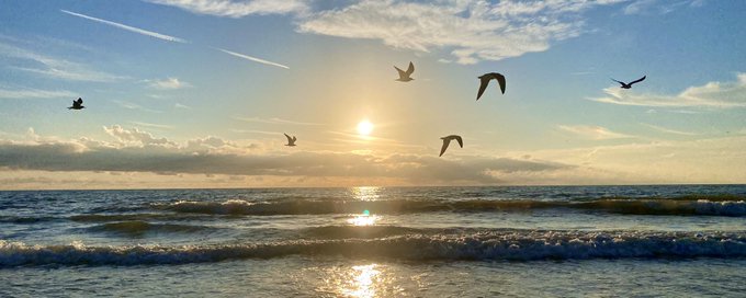 Southwest Florida Real Estate banner