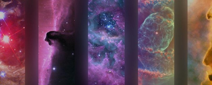 For Curious Minds banner