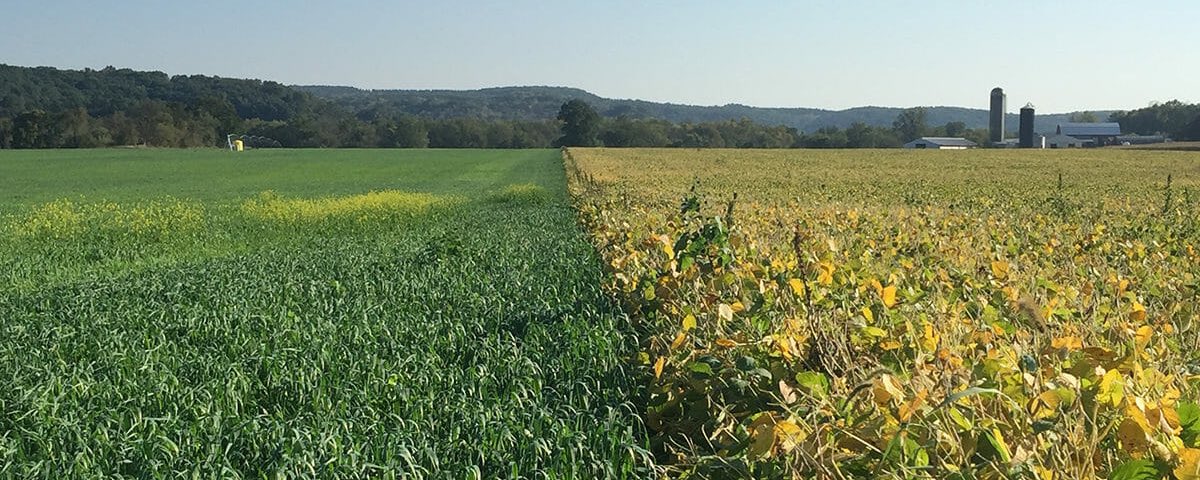 Regenerative Agriculture