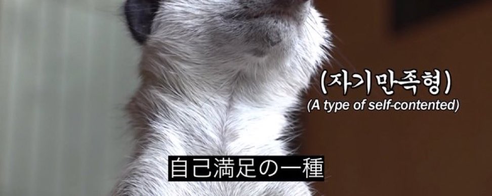 他サイトにて売り切れたので削除させて頂きますm(_ _)m X