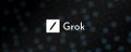 xAI Grok banner