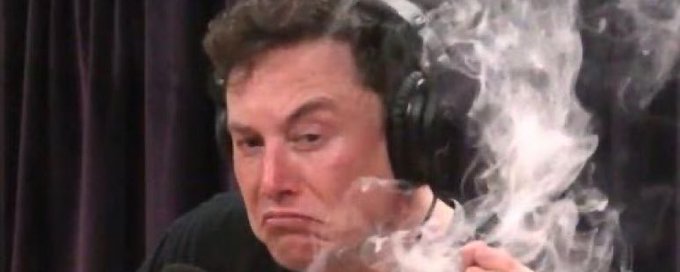 The Elon Musketeers banner