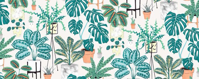 ART. NATURE. PHOTOGRAPHY. banner