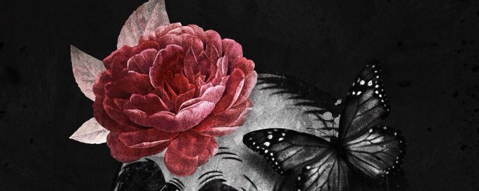 خلفيات موبايل 4K WALLPAPERS banner