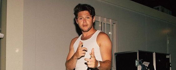 Niall horan banner