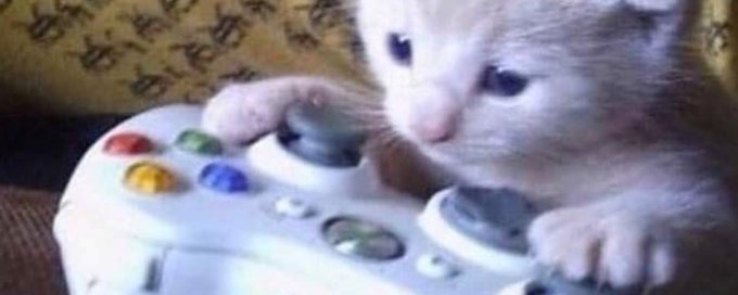 Luxi lover club banner