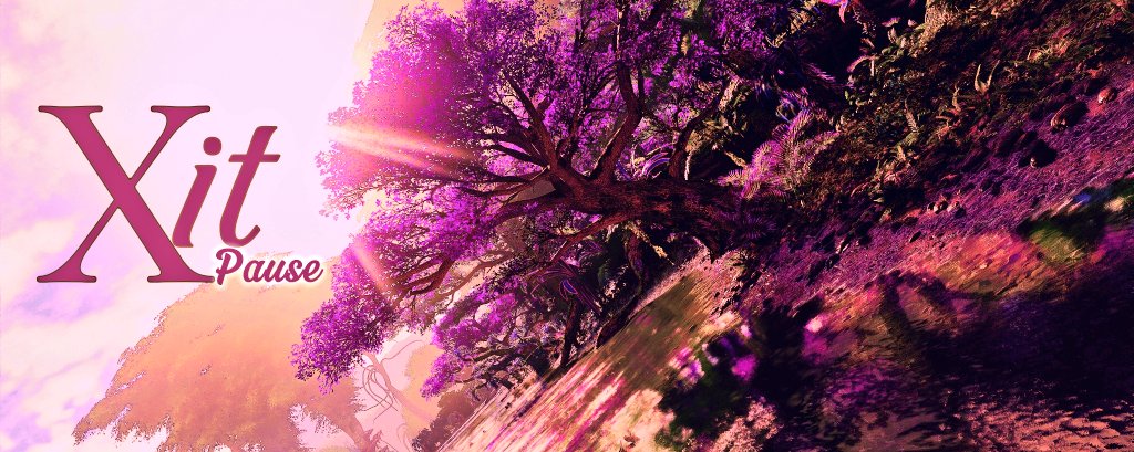 community banner