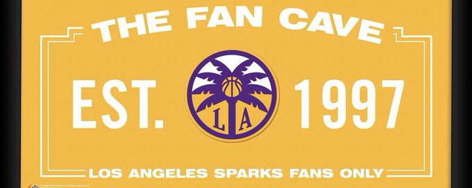 LA SPARKS FANS banner