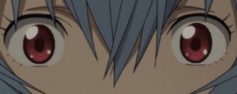 community banner
