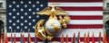 USMC Veterans on 𝕏 🇺🇸🦅🌎⚓ banner