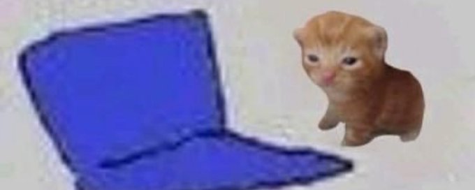 Cats and Cats banner