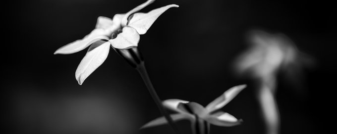 Black & White Photography banner