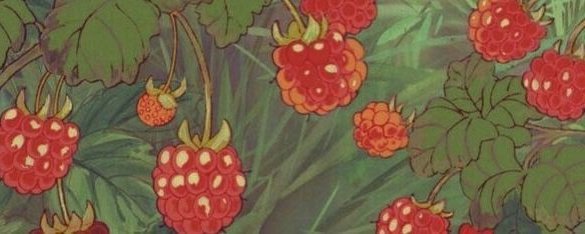community banner