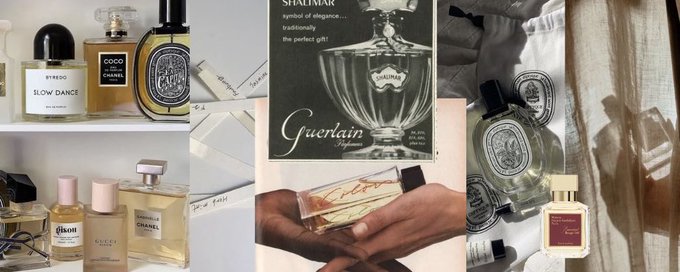 fragrance warriors ౨ৎ banner