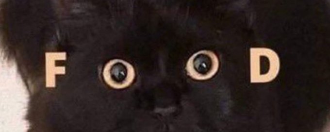 Hungry kitties banner