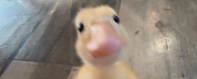 Boost of Serotonin 🤍 banner